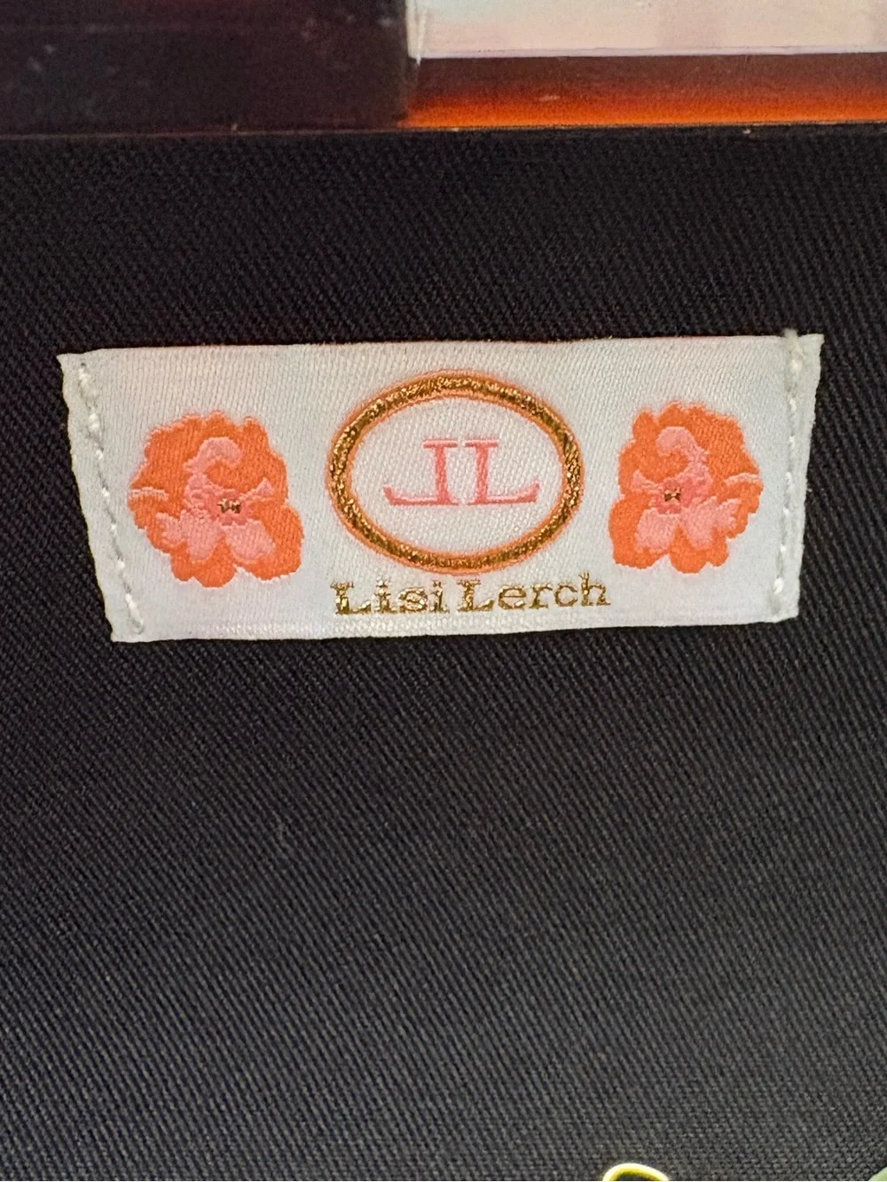 Lisi Lerch Tortoiseshell Acrylic Box Clutch Bag